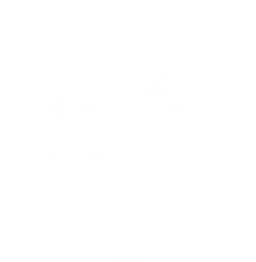 Logo ICAV