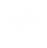 Logo ICAV
